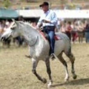 Vincent - Prof d'équitation - Cotignac
