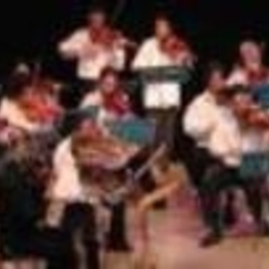Anne Catherine - Prof de violon - Tassin-la-Demi-Lune