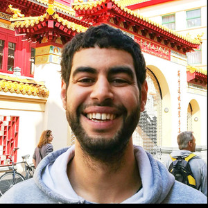 Lyes - Prof d'initiation informatique - Châtenay-Malabry