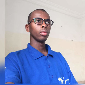 Alpha Oumar - Prof d'initiation informatique - Beauvoir-sur-Mer