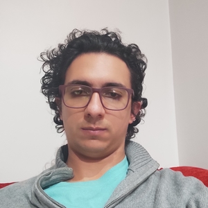 Mahmoud - Prof de développement web - Villeurbanne