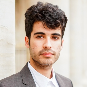 Michel - Prof de droit constitutionnel - Paris