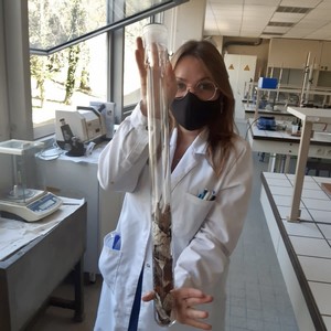Chloé - Prof d'aide aux devoirs - Châtillon