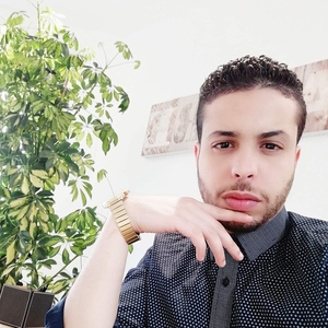 Mehdi - Prof de soutien scolaire - Paris