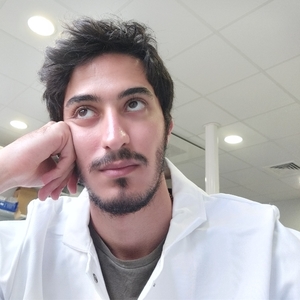 Amer - Prof de physique - Boulogne-Billancourt