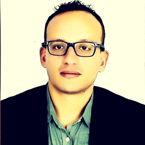 Mohamed Amine - Prof de maths - Chambourcy