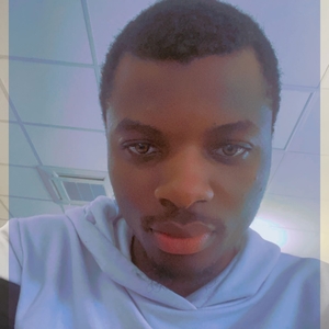 IT - Prof d'initiation informatique - Torcy