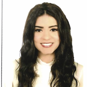 Roussayla - Prof de maths - Vélizy-Villacoublay