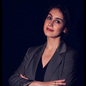 Sirin - Prof de droit civil - Asnières-sur-Seine
