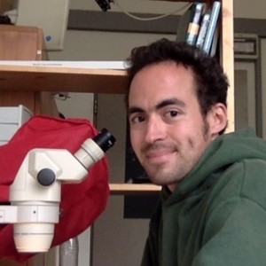 Nabil - Prof de préparation bac scientifique - Roquefort-les-Cascades