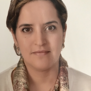 Rajaa - Prof de maths - Thise