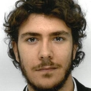Raoul - Prof de droit constitutionnel - Paris