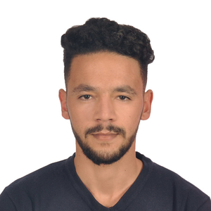 Hichame - Prof de python - Lyon