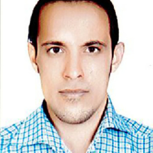 Amir - Prof de français - Champs-sur-Marne