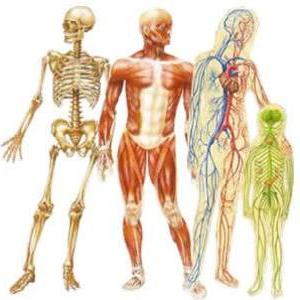 Marie-Line - Prof de biologie - Bron