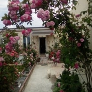 Alyson - Prof de cuisine - Saint-Priest