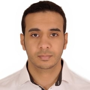 Mohamed Amine - Prof d'économie - Lille