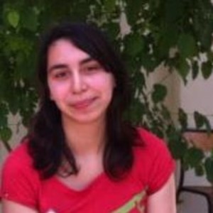 DAHMANI - Prof de maths - Lille
