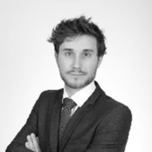 David - Prof de droit public - Paris