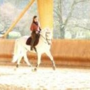 Anne-line - Prof d'équitation - Courthézon