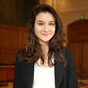 Ivona - Prof de droit des affaires - Paris