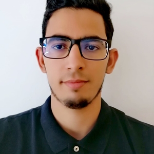 Tarek - Prof de maths - Marseille