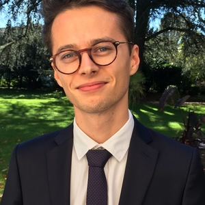David - Prof d'anglais - Labastide-Saint-Georges