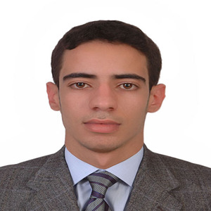 Anas - Prof de maths - Brest