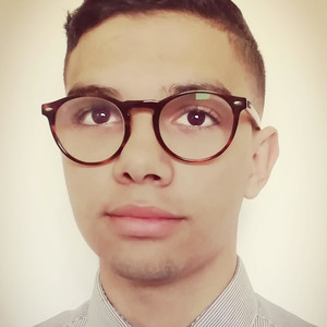Hanine - Prof de maths - Toulouse