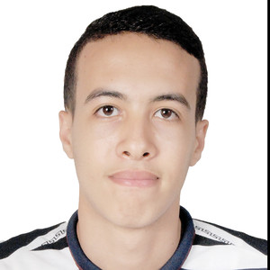Abderrahmane - Prof de programmation - Melesse