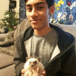 Nasif - Prof de maths - Oakville