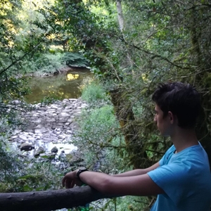 Darryl - Prof d'anglais - Bellerive-sur-Allier