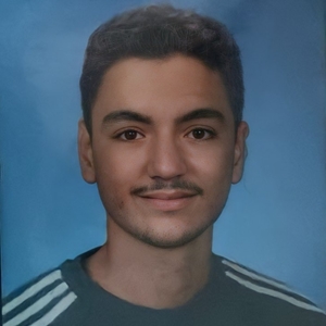 Amine - Prof de maths - Quincy-sous-Sénart