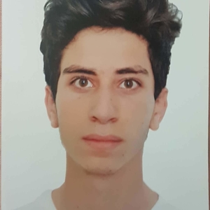 Mohamed koussay - Prof de physique - chimie - Tours