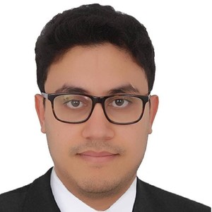 Mehdi - Prof d'anglais - Caen