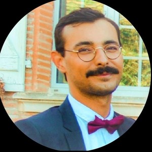 Tanguy - Prof de droit constitutionnel - Toulouse