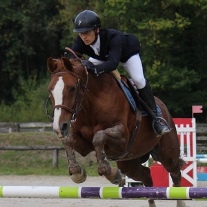Louis - Prof d'équitation - Jeugny