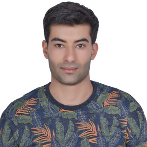 Thamer - Prof de maths - Nantes