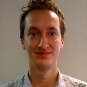 Louis - Prof de fle - français langue étrangère - Toulouse