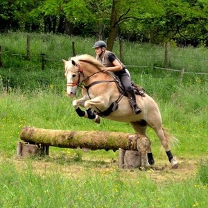 Manon - Coach sportif - Metting