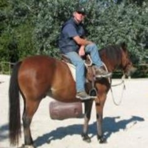 Patrick - Prof d'équitation - Nantes