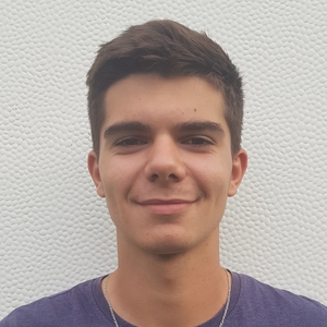 Vincent - Prof de maths - Lyon