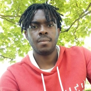 Prince - Prof de maths - Rennes