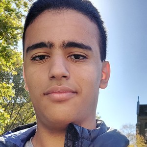 Mehdi - Prof de maths - Grenoble