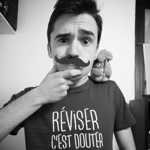 Loris - Prof de maths - Échirolles