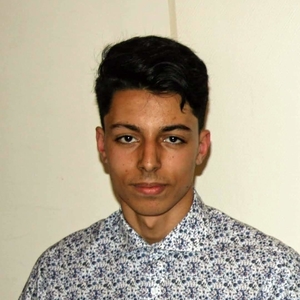 Hichem - Prof de maths - Livry-Gargan