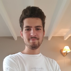 Louis - Prof de physique - Rueil-Malmaison