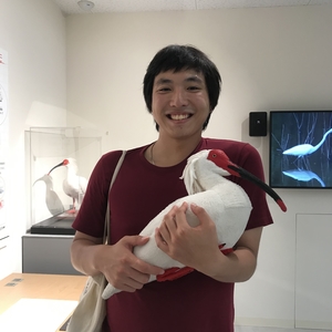 Julien - Prof de japonais - Paris