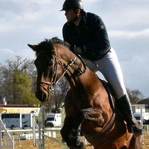 Thomas - Prof d'équitation - Poulan-Pouzols
