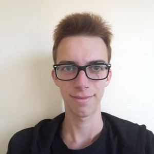 Corentin - Prof de maths - Villeneuve-d'Ascq